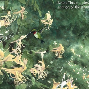 3 sizes Watercolor Print of a Hummingbird and Honeysuckle, from a Landscape Painting by Laura Poss image 4