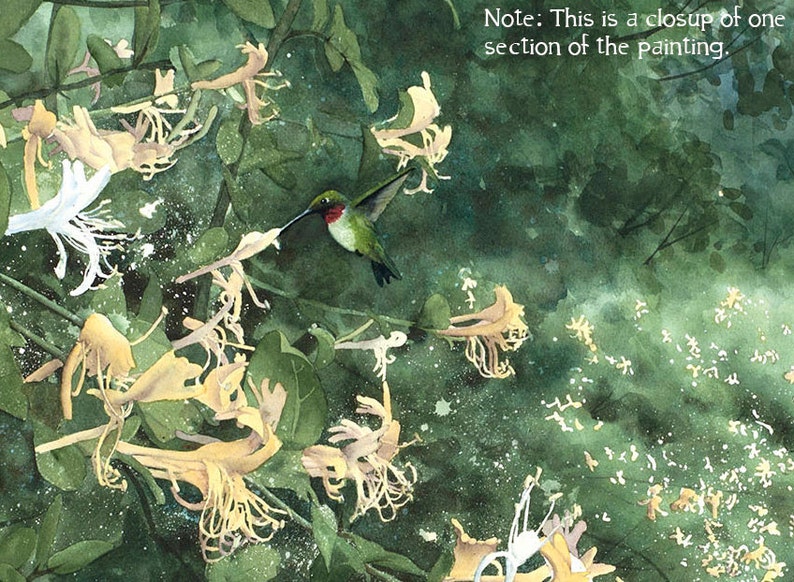 3 sizes Watercolor Print of a Hummingbird and Honeysuckle, from a Landscape Painting by Laura Poss image 4