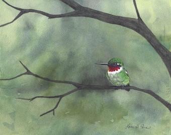 Hummingbird Watercolor Print | Ruby-Throated Art | Nature Decor | Laura Poss Art