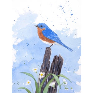 Original Bluebird Watercolor | Wildflower Bird Art | 9x12 Summer Nature Painting | Laura Poss Art