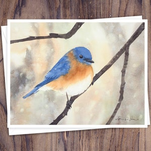 8 cartes de correspondance à l'aquarelle avec enveloppes, représentant quatre aquarelles d'oiseaux d'hiver par Laura D. Poss, vierges à l'intérieur // Cartes faites à la main image 4