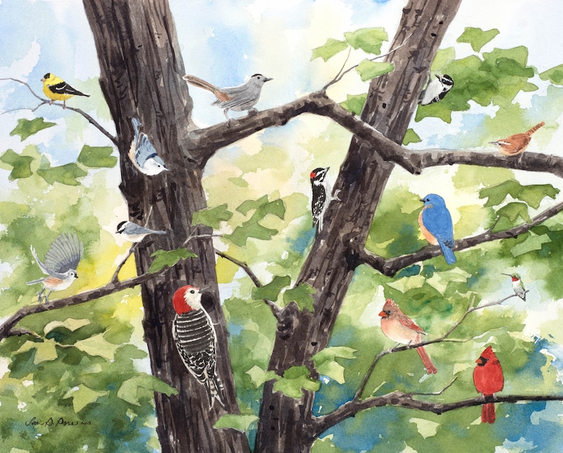 8x10 Watercolor Print of Backyard Songbirds, from a Painting by Laura Poss image 1