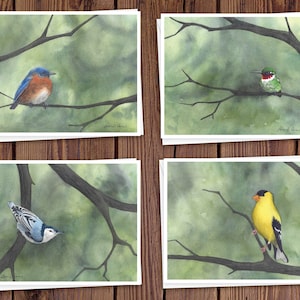 8 Aquarell Grußkarten mit Umschlägen, vier verschiedene Vogel-Aquarellgemälde von Laura Poss, innen leer, handgefertigte Karten