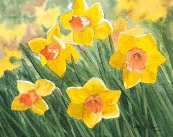 Original Watercolor Painting of Spring Daffodils by Laura D. Poss // narcissus, jonquils