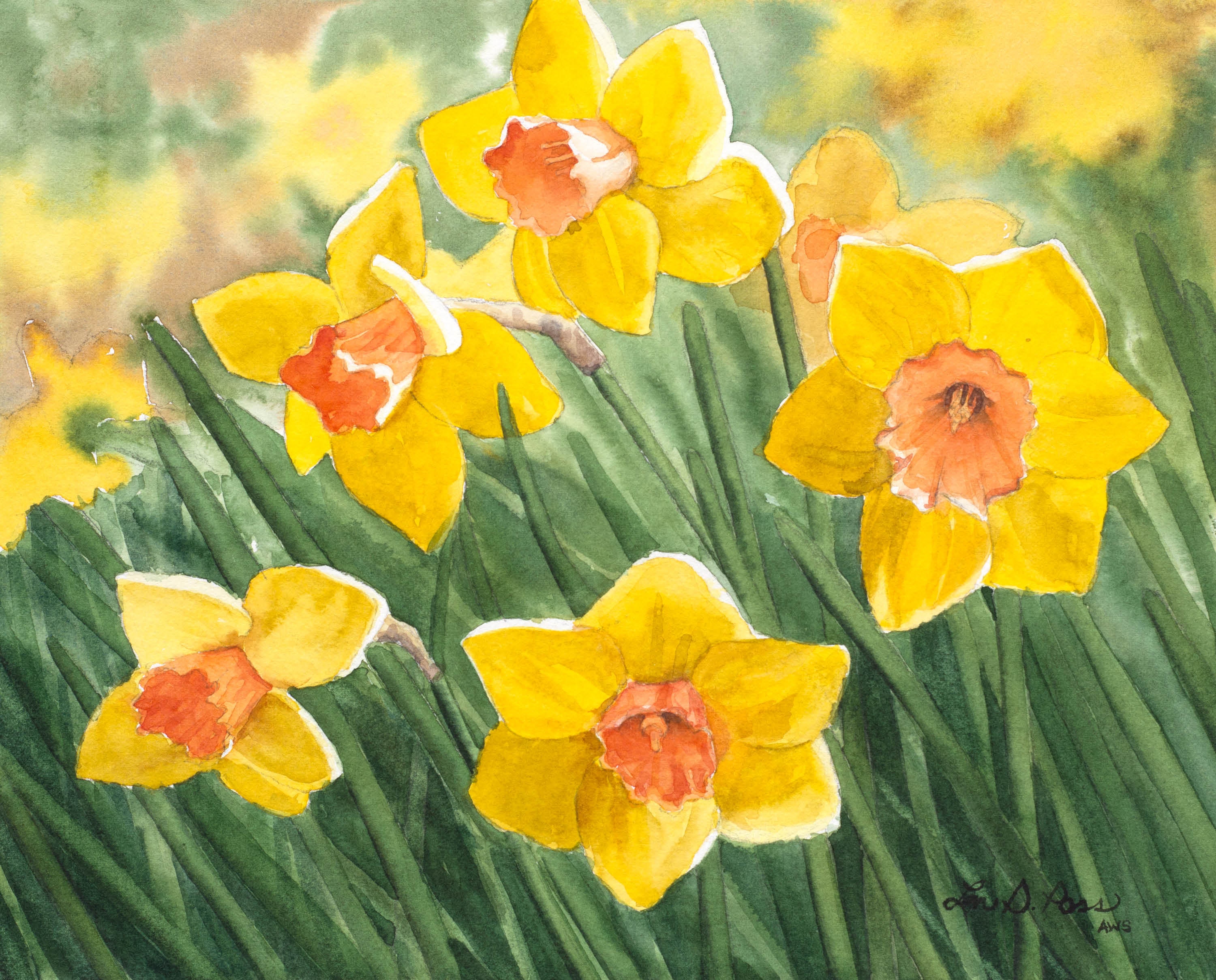 Original Watercolor Painting of Spring Daffodils by Laura D. Poss