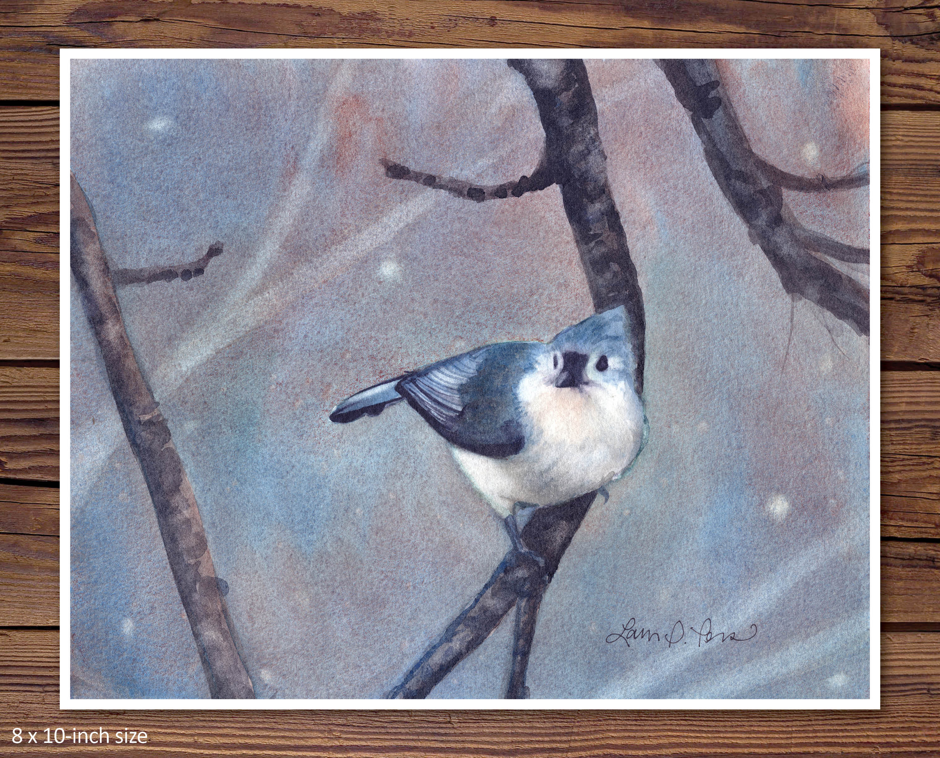 2 Sizes Watercolor Print of a Titmouse From a Painting by - Etsy