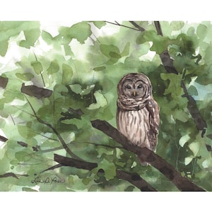 アメリカフクロウの水彩画プリント｜森の野生動物アート｜自然愛好家へのギフト｜Laura Poss Art