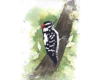 5x7"- Watercolor Print of a Downy Woodpecker, from a Painting by Laura Poss