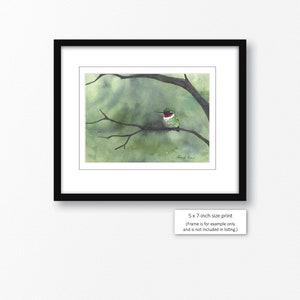 2 sizes Watercolor Print of a Hummingbird from a painting by image 3
