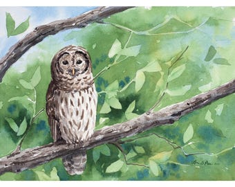 Original Barred Owl Watercolor | Woodland Bird Art | 12x9 Nature Painting | Laura Poss Art