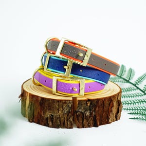 Waterproof Dog Collar,Adjustable Dog Collar,Odor-Resistant, Easy to Clean,All Metal Hardware,for Large Medium Small Dogs