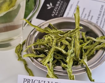 Prickly Pear Leaf Tea in Bags