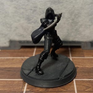 D&D/Pathfinder Female Rogue/Assassin Hand-painted Miniature