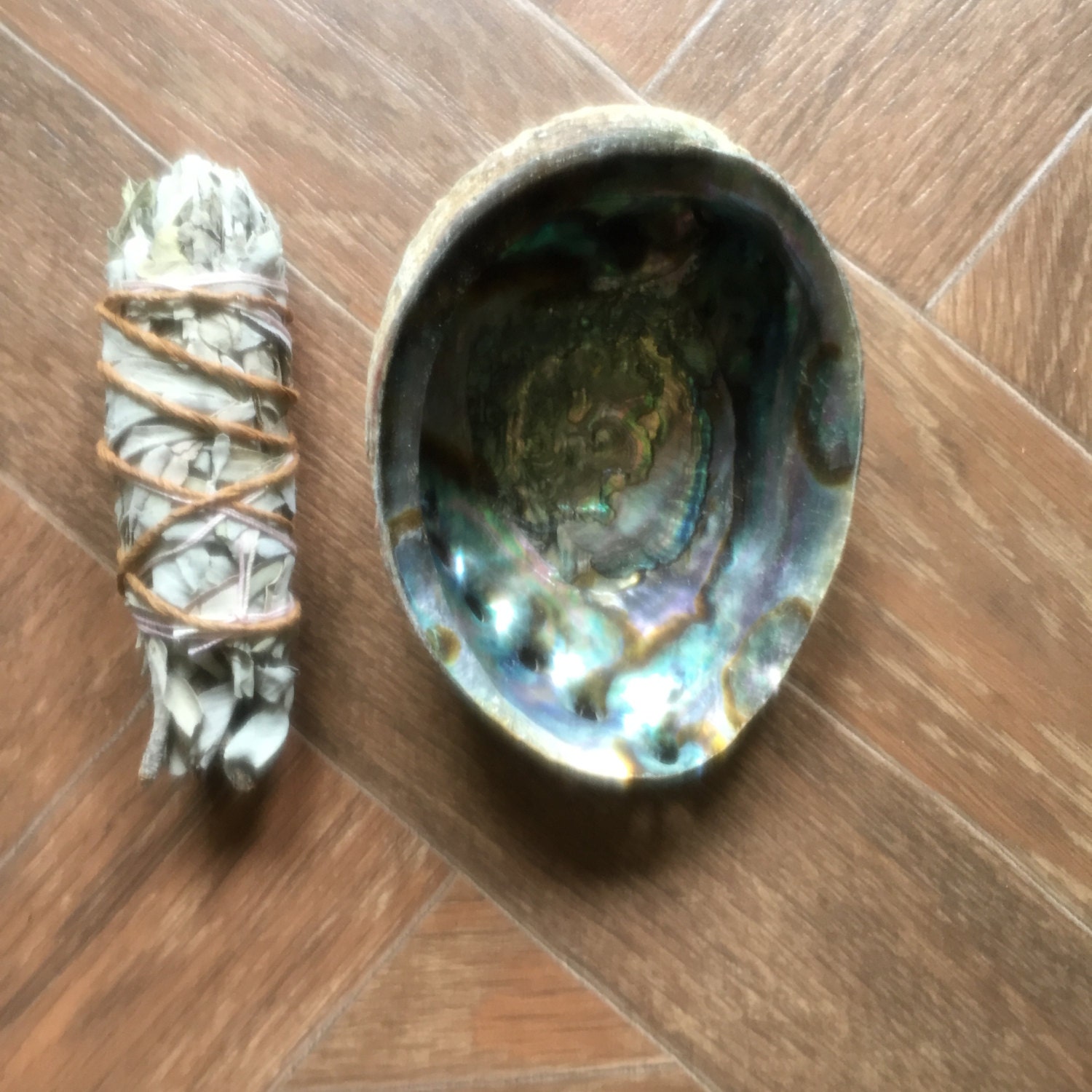 Large Abalone Smudge Shell Bowl with stand Smudging Dish