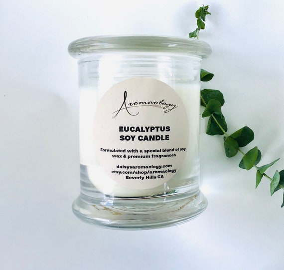 Eucalyptus Scented Candle 12oz Aromatherapy Soy Candle Etsy