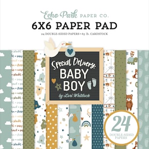 Echo Park - Special Deliver Baby JONGEN - 6 x 6 notitieboek, 24 vellen dubbelzijdig plakboek, gemengde techniek