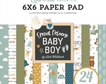 Könnte beinhalten: Ein 15,24 x 15,24 cm Papierblock mit 24 doppelseitigen Papieren, 65 lb. Karton. Das Cover zeigt einen Storch, der ein Baby trägt, den Text "Special Delivery BABY BOY" und verschiedene gemusterte Papiere mit Baby-Designs.