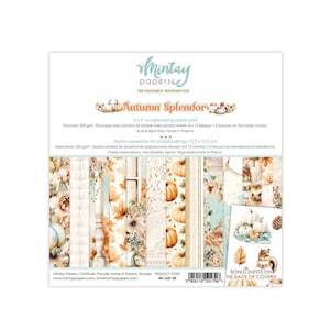 Può includere: Un blocco di carta per scrapbooking intitolato "Autumn Splendor" con disegni a tema autunnale. Il blocco contiene 24 fogli stampati fronte-retro, ciascuno di 15,2 x 15,2 cm. I disegni includono zucche, foglie e motivi floreali dai colori caldi.