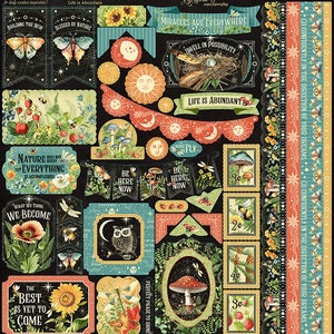 Graphic 45 - Life Is Abundant 12x12 Cardstock Stickers Calendar Scrapbook Art Journal