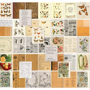 Color Swatch Peach Collage Sheets - 6x8 Paper Pack - 49 and Market - 40 Sheets Journal Mixed Media