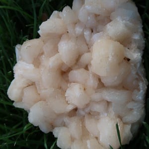 May include: A cluster of white calcite crystals, resembling a cauliflower, on a bed of green grass.
