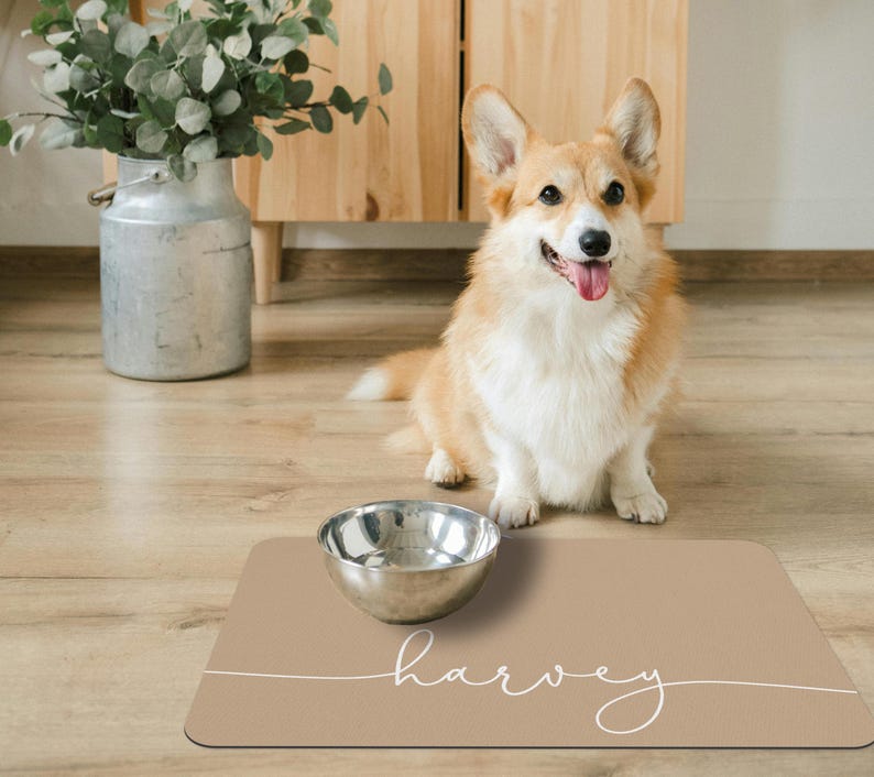 May include: A tan dog food mat with the name "harvey" written in white script. A stainless steel dog bowl sits on the mat.