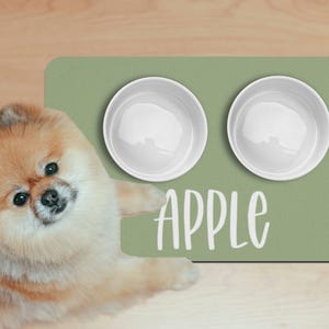 May include: A green pet food mat with two white ceramic bowls and the word "APPLE" printed on it. A small, fluffy, light brown dog is sitting in front of the mat.
