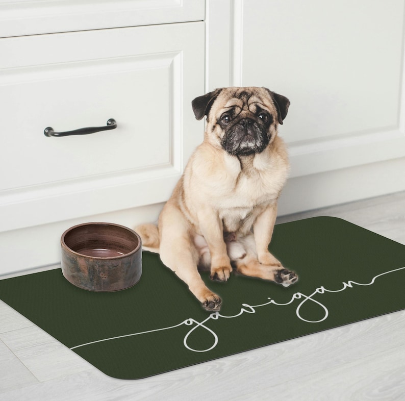 May include: A green dog food mat with the name "Gavin" written in white cursive. A pug dog is sitting on the mat next to a brown ceramic bowl.