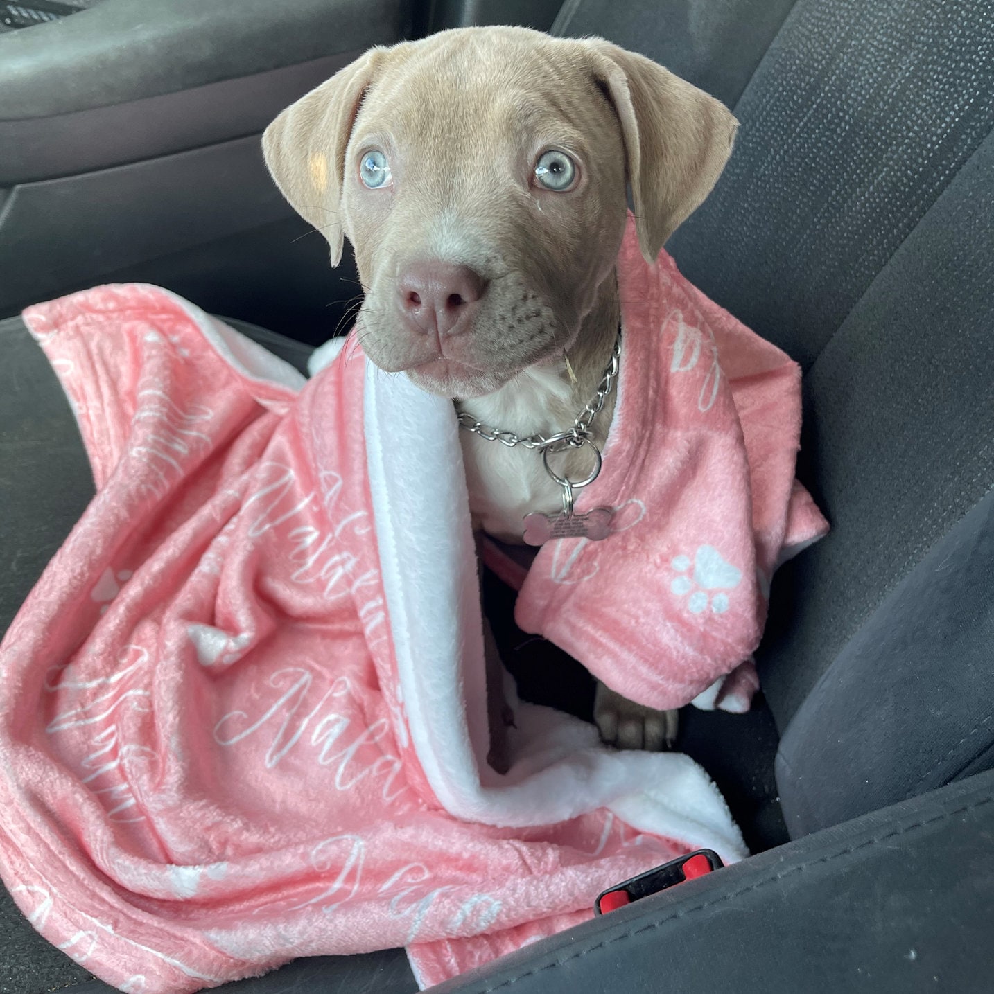 stinky stuff ears