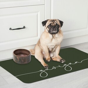 Puede incluir: Una alfombra verde para comida de perro con el nombre "Gavin" escrito en cursiva blanca. Un perro pug est&aacute; sentado en la alfombra junto a un cuenco de cer&aacute;mica marr&oacute;n.
