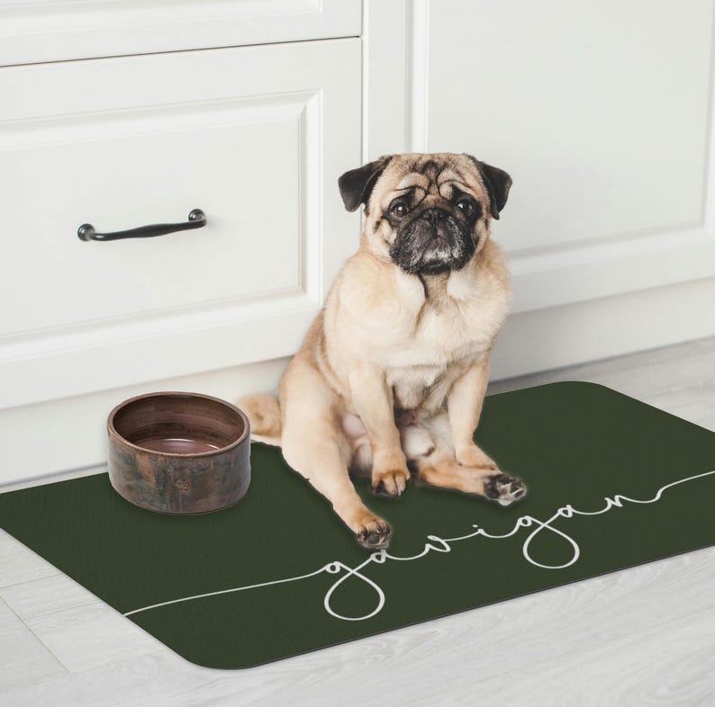 Puede incluir: Una alfombra verde para comida de perro con el nombre "Gavin" escrito en cursiva blanca. Un perro pug est&aacute; sentado en la alfombra junto a un cuenco de cer&aacute;mica marr&oacute;n.