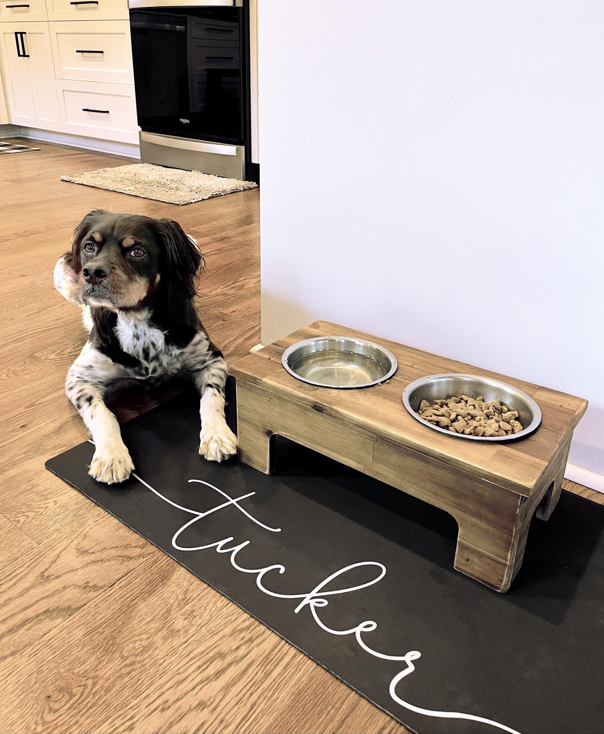 Personalized Dog Food Mat, Customize Name Colors and Font, Puppy, Kitten Cat, Water Absorbent Floor Placemat, Home Decor, Gift for New Pet
