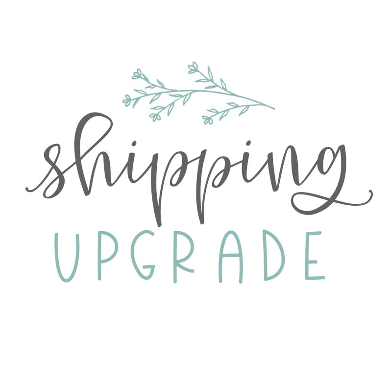 SHIPPING UPGRADE image 1