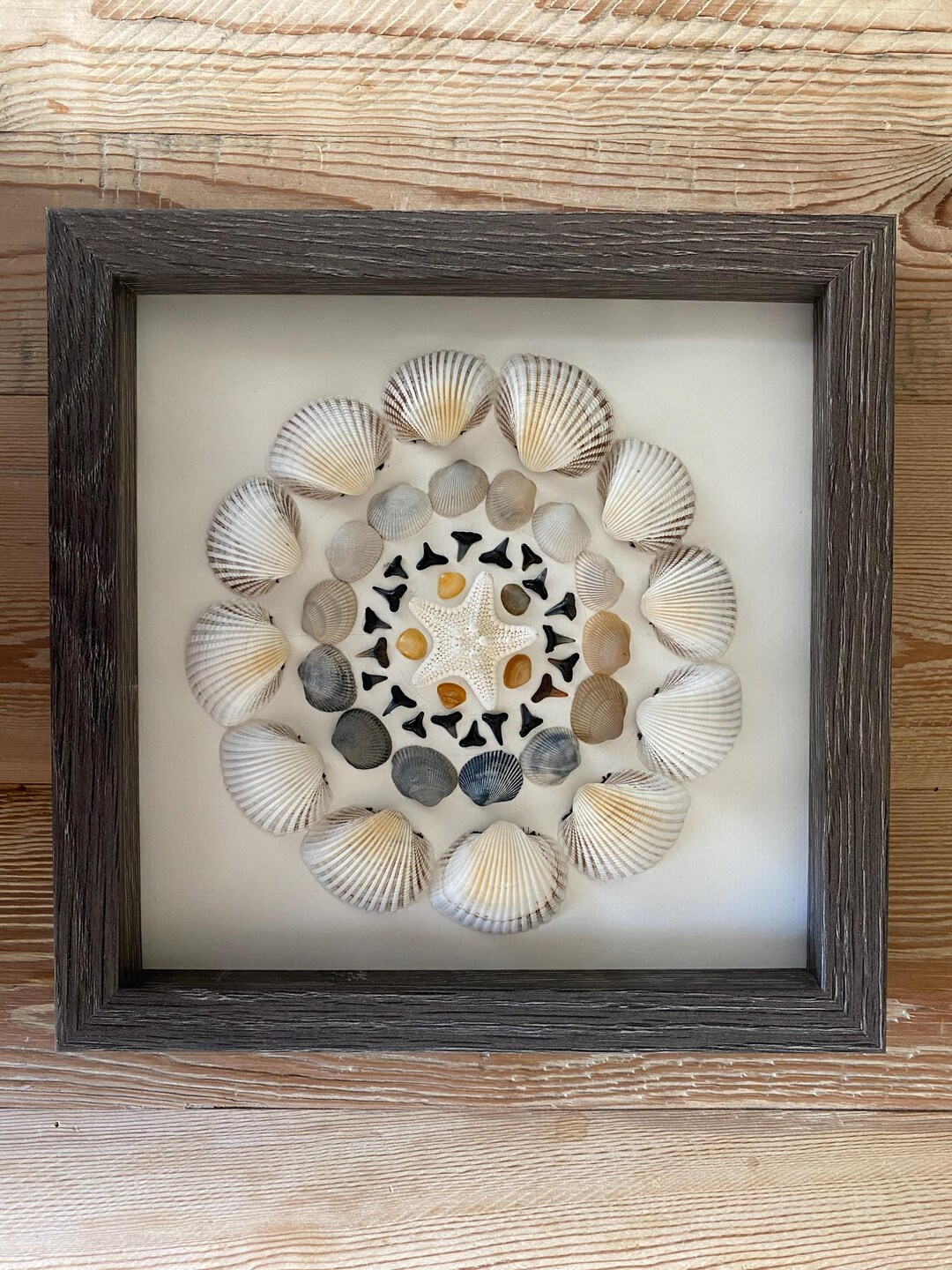 Seashell Wall Art in a Shadow Box. Framed Sea Shell Collage Gift ...