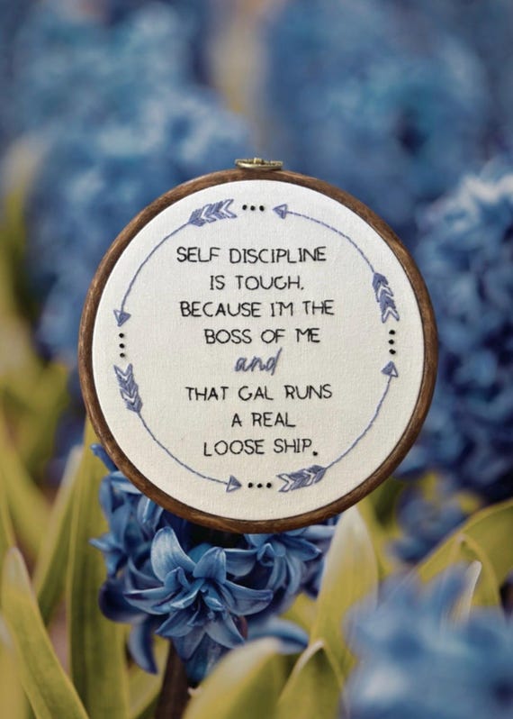 Self Discipline Is Tough Embroidery Hoop Art, Funny Quote Wall Decor, Sarcastic Handmade Embroidery, 6 Inch Ready to Hang Hoop, Gift for Her