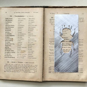 Könnte beinhalten: Ein silbernes Lesezeichen in Form eines Käfers mit einem ausgeschnittenen Design. Das Lesezeichen liegt auf einem geöffneten Buch mit französischem Text. Der Text auf dem Lesezeichen lautet "were talking of nothing or of time to time are not to be wed by our own."