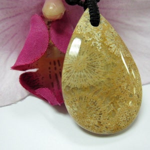 Chrysanthemum Flower Fossil Coral Jade  (菊花珊瑚玉)  Raindrop Pendant Good Luck Charm Necklace