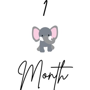 Cartes d'étape animal 0-12 mois PDF à télécharger