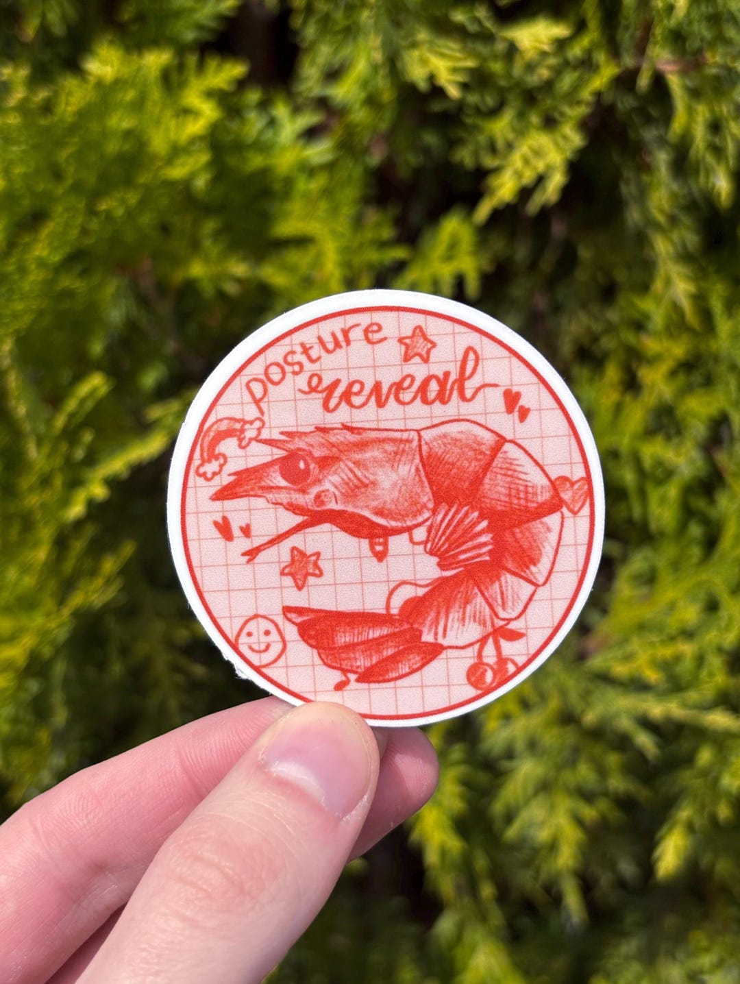 Shrimp Sticker - Posture Reveal - Etsy