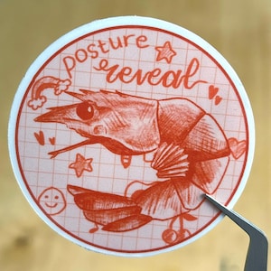 Shrimp Sticker - Posture Reveal