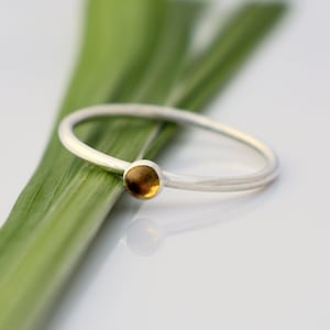 Peut inclure: Une bague en argent simple avec une petite pierre ronde de couleur or.