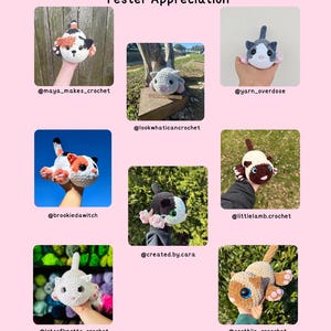May include: A collage of crocheted cat toys in various colors, including white, gray, orange, and brown. The toys are displayed with the text "Tester Appreciation" at the top and various social media handles below each cat.