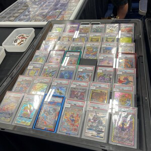 Pode incluir: Uma vitrine cheia de cartas colecion&aacute;veis classificadas, exibindo v&aacute;rios designs e personagens coloridos. As cartas est&atilde;o em protetores, com etiquetas de classifica&ccedil;&atilde;o vis&iacute;veis. O tema sugere um jogo de cartas colecion&aacute;veis ou um hobby.