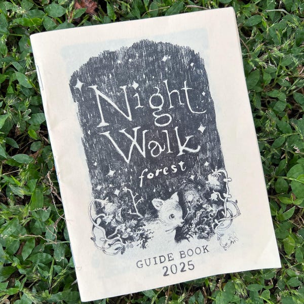Night Walk Forest Zine art book