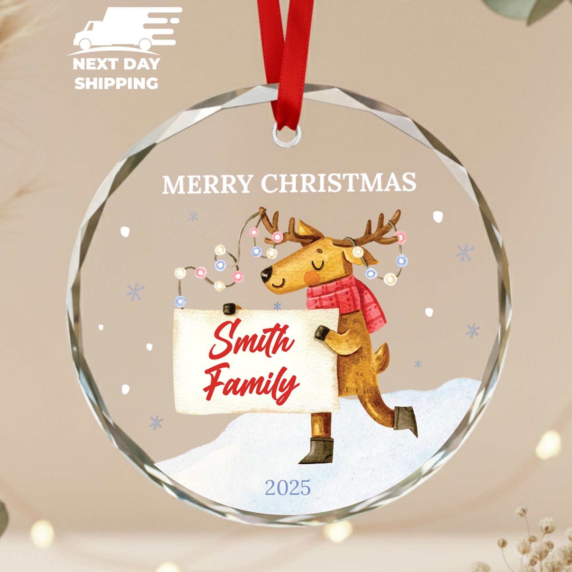 Family Merry Christmas Ornament, Skating Deer With Light Ornament, Personalized Family Name Ornament, Christmas Keepsake, Neighbor Gift