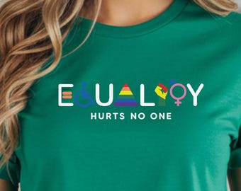 Camiseta de igualdad, regalo del orgullo LGBTQ / Camiseta de derechos humanos inclusivos / Camiseta arcoíris del orgullo gay / Camiseta activista feminista para los amantes de la igualdad