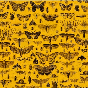 Moths and Bugs Print Room Wrapping Paper