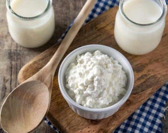 Granuli di Kefir - 10 grammi - Kefir di latte fresco biologico - Bulgaro - Coltura viva