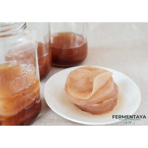 Pode incluir: Close-up de um scoby de kombucha branco e em camadas sobre um prato branco. O scoby é uma cultura semelhante a um cogumelo que é usada para fermentar o chá kombucha. O texto "FERMENTAYA NATURAL Y ARTESANAL" é visível no canto inferior direito da imagem.