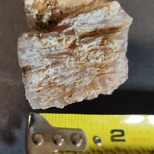 May include: A light-colored, layered rock formation with a tape measure showing a length of approximately 2 inches. The rock has a rough, textured surface with shades of white, tan, and pink.